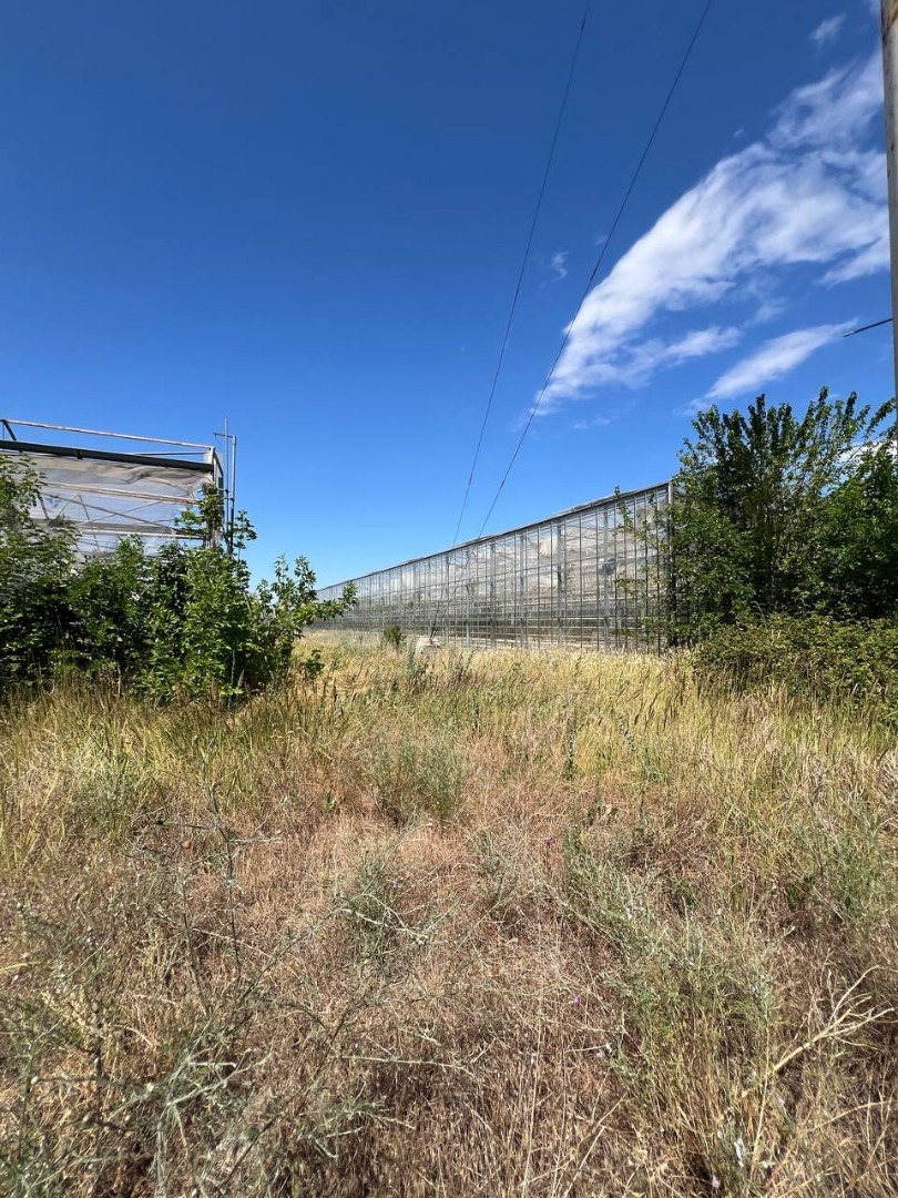 продажа предприятия номер C-174110 в Роксоланах, фото номер 13